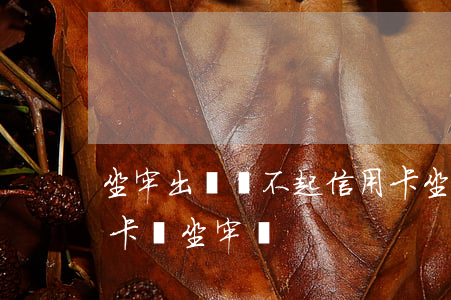 坐牢出來還不起信用卡(坐牢出來還不起信用卡會坐牢嗎)