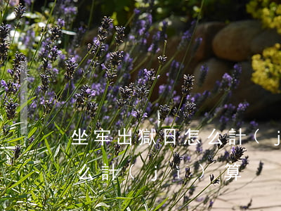 坐牢出獄日怎么計(jì)算(坐牢的假期怎么計(jì)算)