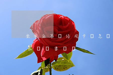 坐牢后不還信用卡會怎樣(信用卡不還會坐牢出來還要還嗎)