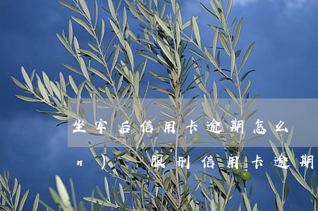 坐牢后信用卡逾期怎么處理-在監(jiān)獄服刑信用卡逾期怎么辦