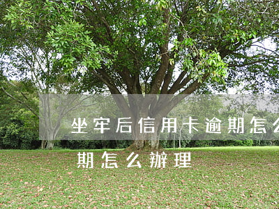 坐牢后信用卡逾期怎么辦-坐牢后信用卡逾期怎么辦理
