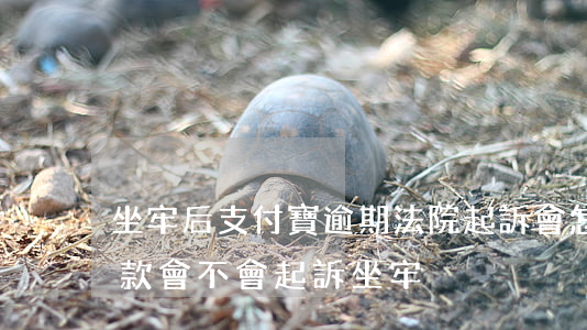 坐牢后支付寶逾期法院起訴會怎樣 支付寶欠款會不會起訴坐牢