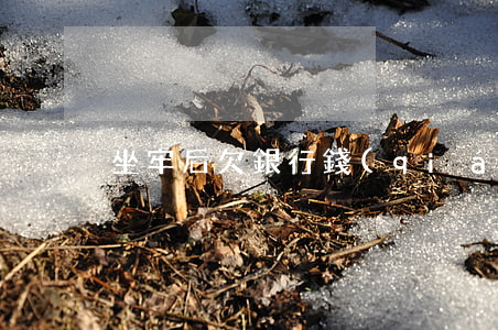 坐牢后欠銀行錢(qián)怎么辦