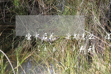 坐牢后花唄逾期怎么處理(花唄還不上怎么辦會(huì)判刑嗎)