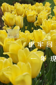 坐牢回來信用卡逾期(坐牢回來信用卡逾期了一年現(xiàn)在還不起怎么辦)