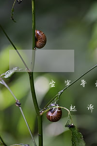 坐牢导致信用卡产生逾期记录(因信用卡逾期被起诉坐牢的多吗)