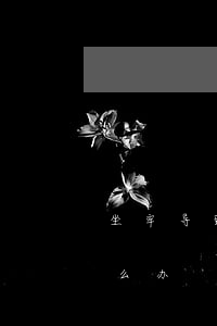 坐牢导致房贷逾期怎么办(坐牢了欠的房贷怎么办)