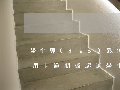 坐牢導(dǎo)致信用卡逾期上征信(因信用卡逾期被起訴坐牢的多嗎)