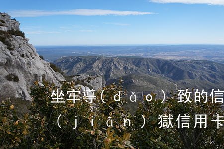 坐牢導(dǎo)致的信用卡征信逾期(在監(jiān)獄信用卡逾期上征信了怎么處理)