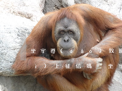坐牢導(dǎo)致逾期怎么解決會(huì)上征信嗎-坐牢導(dǎo)致的逾期征信怎么處理