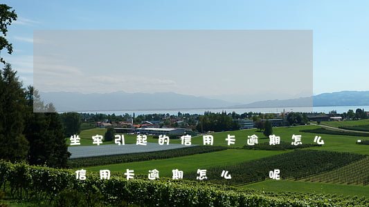 坐牢引起的信用卡逾期怎么辦-坐牢引起的信用卡逾期怎么辦呢