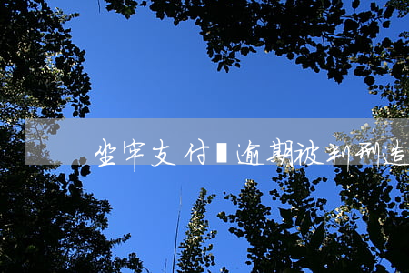 坐牢支付寶逾期（被判刑造成支付寶逾期）