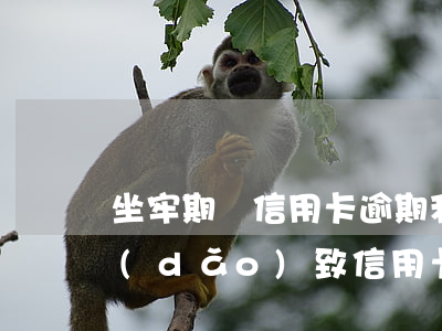 坐牢期間信用卡逾期利息怎么弄-因服刑導(dǎo)致信用卡逾期產(chǎn)生利息