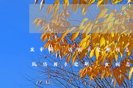 坐牢期間信用卡逾期利息怎么弄-因服刑導致信用卡逾期產生利息