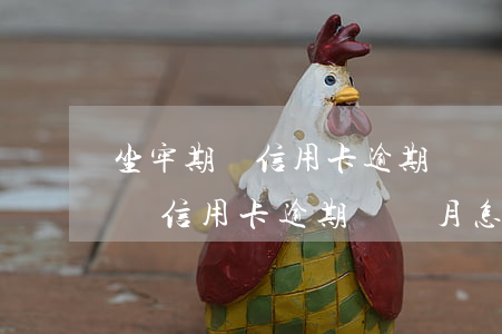 坐牢期間信用卡逾期幾個月怎么辦-坐牢期間信用卡逾期幾個月怎么辦理