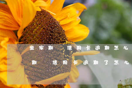 坐牢期間信用卡逾期怎么辦滯納金-在坐牢期間信用卡逾期了怎么辦