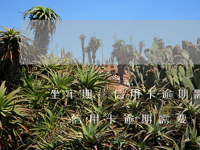 坐牢期間信用卡逾期需要還利息嗎-坐牢期間信用卡逾期需要還利息嗎知乎