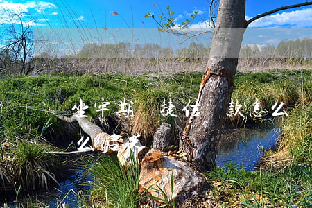 坐牢期間捷信貸款怎么辦(在捷信上貸款有什么后果)