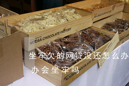 坐牢欠的网贷没还怎么办(欠网贷还不上怎么办,会坐牢吗)