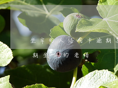 坐牢的人信用卡逾期怎么办(有没有信用卡逾期坐牢的老哥)