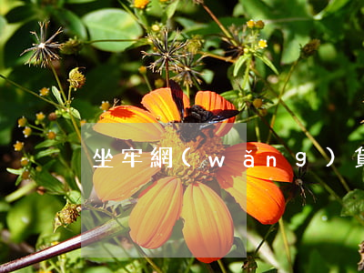 坐牢網(wǎng)貸逾期怎么辦信用卡