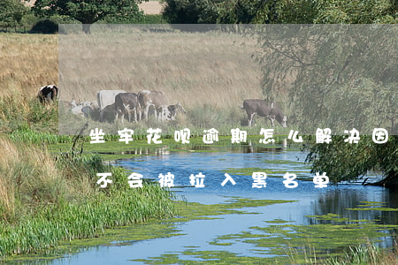 坐牢花呗逾期怎么解决(因为坐牢花呗逾期会不会被拉入黑名单)