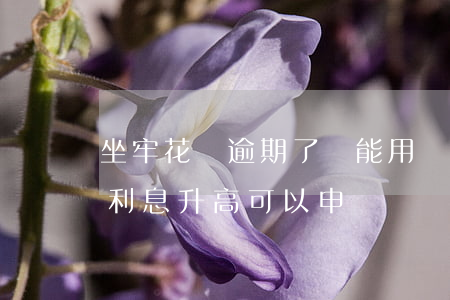 坐牢花唄逾期了還能用嗎(坐牢花唄逾期導致利息升高可以申訴嗎)