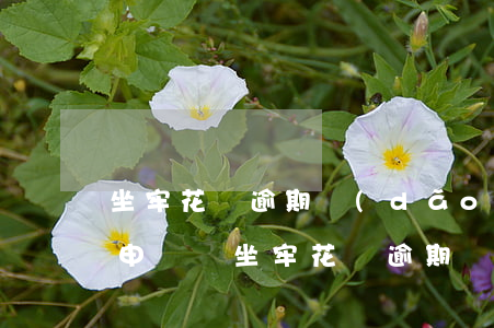 坐牢花唄逾期導(dǎo)致利息升高可以申訴嗎（坐牢花唄逾期）