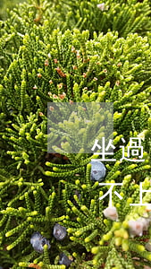 坐過(guò)牢信用卡不還行嗎(信用卡還不上坐牢后是不是不用還了)