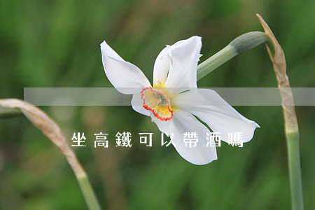 坐高鐵可以帶酒嗎