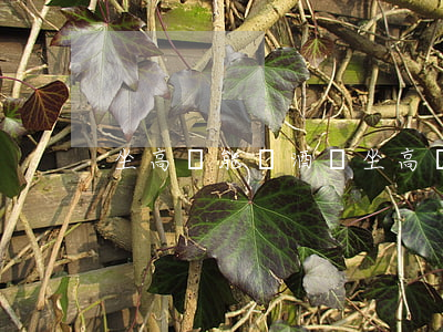 坐高鐵能帶酒嗎(坐高鐵能帶酒嗎官方)