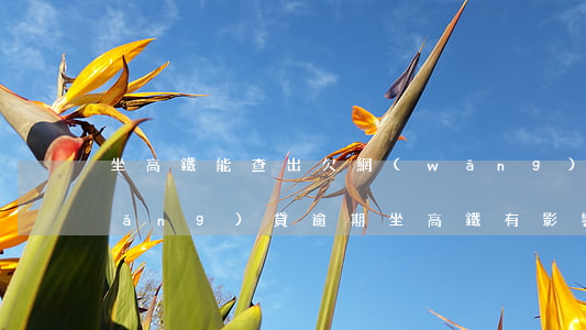 坐高鐵能查出欠網(wǎng)貸嗎(網(wǎng)貸逾期坐高鐵有影響嗎)