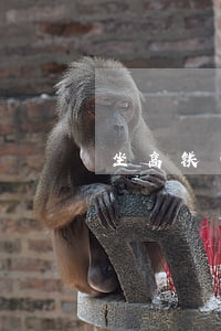 坐高铁可以带烟吗