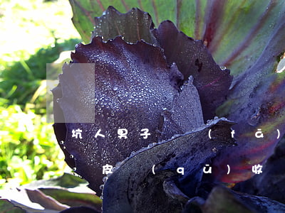 坑人！男子燙發(fā)被分12個(gè)頭皮區(qū)收費(fèi)，每個(gè)區(qū)398元