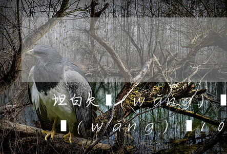 坦白欠網(wǎng)貸10萬(wàn)(網(wǎng)貸10多萬(wàn)怎么坦白)