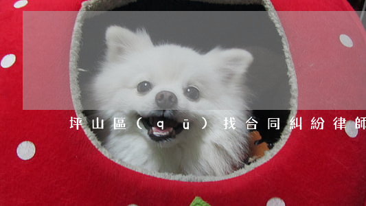 坪山區(qū)找合同糾紛律師多少錢