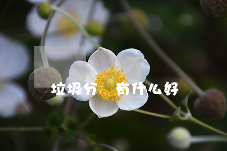 垃圾分類有什么好處