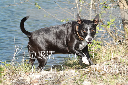 垃圾清運協(xié)議逾期一個月如何續(xù)簽-垃圾清運協(xié)議逾期一個月如何續(xù)簽合同