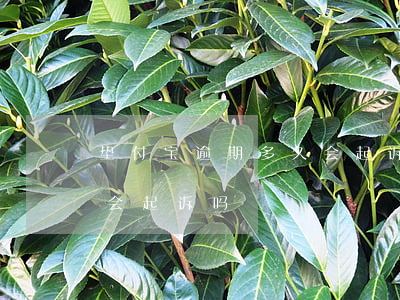 垫付宝逾期多久会起诉(淘宝垫付款不还他们会起诉吗)