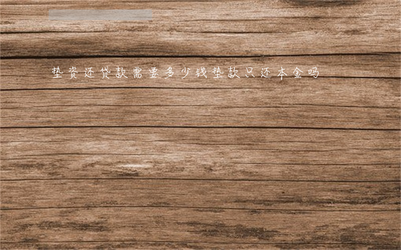 垫资还贷款需要多少钱（垫款只还本金吗）