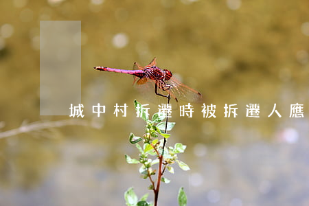 城中村拆遷時,被拆遷人應該怎么補償安置