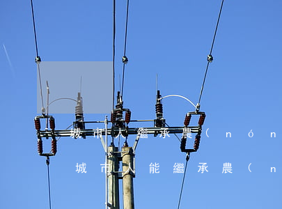 城市人繼承農(nóng)村宅基地可以嗎(城市人能繼承農(nóng)村住宅嗎)