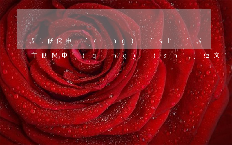 城市低保申請(qǐng)書(shū)(城市低保申請(qǐng)書(shū)范文18篇)