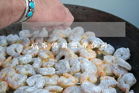 城市供用热力合同