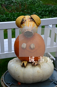 城市信用卡逾期多久上征信