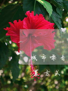 城市噪音擾民的標準是什么（噪音擾民警情處置方式）