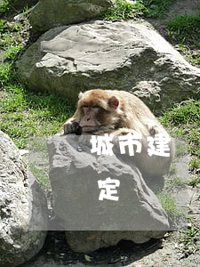 城市建設(shè)檔案管理規(guī)定