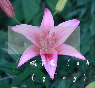 城市建設(shè)配套費(fèi)申請(qǐng)程序是怎樣的