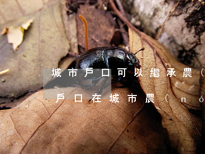城市戶口可以繼承農(nóng)村房子嗎(戶口在城市農(nóng)村老房子可以繼承嗎)