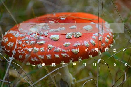 城市户口农村的房子怎么继承(农村的房子可以由城市户口的子女继承吗)